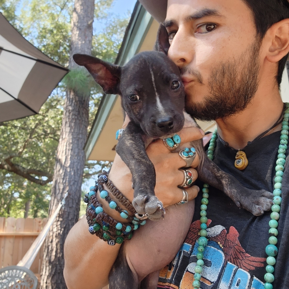 Meet your Posher, Jonathan